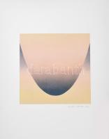 Haász Katalin (1971-): Catenary Irises, 2021. Olaj, kollázs, papír. Jelzett, számozott (0 1/1). 23x2...