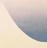 Haász Katalin (1971-): Catenary Irises, 2021. Olaj, kollázs, papír. Jelzett, számozott (0 1/1). 23x2...