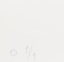 Haász Katalin (1971-): Catenary Irises, 2021. Olaj, kollázs, papír. Jelzett, számozott (0 1/1). 23x2...