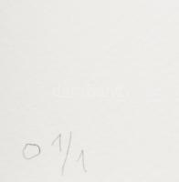 Kelle Antal (1953-): Twisted, 2021. Kollázs, karton, papír. Jelzett, számozott (0 1/1). 26,5x21 cm. ...