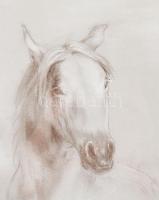 Károlyfi Zsófia (1952-): Fehér ló. Pasztell, papír, jelzett. Üvegezett fakeretben, 40,5×31 cm