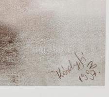 Károlyfi Zsófia (1952-): Fehér ló. Pasztell, papír, jelzett. Üvegezett fakeretben, 40,5×31 cm