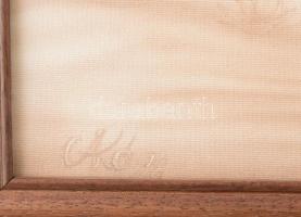 Cakó Ferenc (1950-): Álom. Airbrush, vászon, jelzett. Fakeretben. 40x50 cm