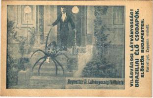 1915 Világvárosi látványosság! Brazíliai élő csodapók először Budapesten. Városliget, Zeppelin mellett - Reymetter Á. látványossági vállalata - cirkuszi reklám / Hungarian circus advertisement, spider (EK)