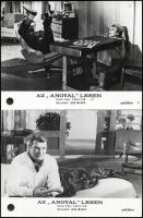 cca 1966 ,,Az Angyal lesen" című olasz - francia film jelenetei és szereplői, 8 db vintage prod...