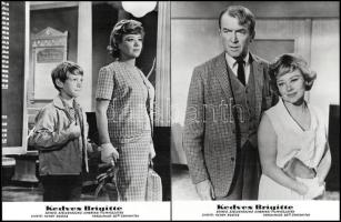 cca 1965 ,,Kedves Brigitte" című amerikai filmvígjáték jelenetei és szereplői, 13 db vintage pr...