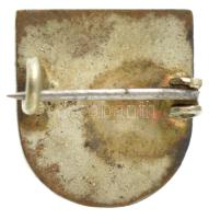 Osztrák-Magyar Monarchia / Német Birodalom ~1914-1918. zománcozott fém patrióta kitűző, osztrák, mag...