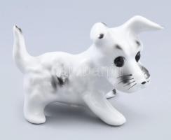 Porcelán kutya. Kopott, m: 11 cm
