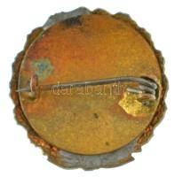 ~1930. "MOVE (Magyar Országos Véderő Egylet) Becsülettel a hazáért" zománcozott bronz jelv...