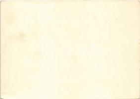 1938 Österreich kehrt Heim! 10. April 1938 / Osztrák náci propaganda horogkereszttel / Austrian Nazi...