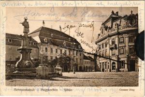 Nagyszeben, Hermannstadt, Sibiu; Grosser Ring / utca, Nepomuki szobor / street, monument (EK)