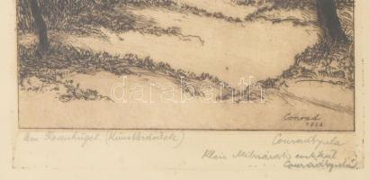 Conrad Gyula (1877-1959): Am Rosenhügel. Rézkarc, papír, jelzett, Conrad Gyula autográf ajándékozási...