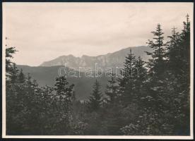 cca 1910 Tömösi-szoros, Erdélyi Mór (1866-1934) felvétele, hátulján feliratozva, 11,5×16 cm / Pasul Timis, photograph taken by Mór Erdélyi, with notes on its back, 11,5×16 cm