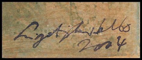 Ligeti Miklós (1982-): Csendélet, 2004. Színes rézkarc, papír, jelzett. 27x16 cm