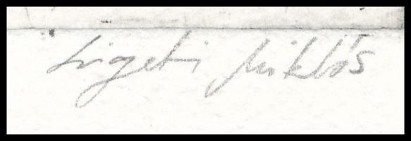 Ligeti Miklós (1982-): Csendélet, 2001. Rézkarc, papír, jelzett, egyedi darab. 15x24,5 cm