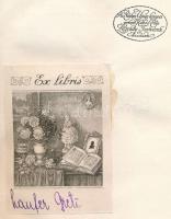 Nagy Endre: Erdély fia. Az Érdekes Újság Könyvei. Bp., [1917], Légrády Testvérek, 213+(3) p. Kiadói ...