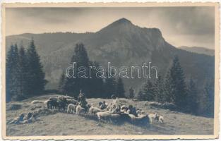 Csíkszereda, Miercurea Ciuc; pásztorok, erdélyi folklór / shepherds, Transylvanian folklore. Foto orig. Ing. Z. I. Aladics photo (EK)