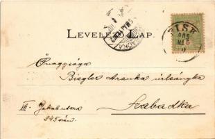 1905 Petrozsény, Petrosani; Boli barlang. Adler fényirda / Pestera Bolii / Bolii cave, interior (fa)