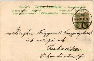 1904 Szecessziós hölgy / Art Nouveau lady. A. Sockl Wien I. 942. litho