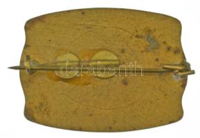 Osztrák-Magyar Monarchia 1915. "Szövetségesi hűség?" zománcozott bronz propaganda jelvény ...