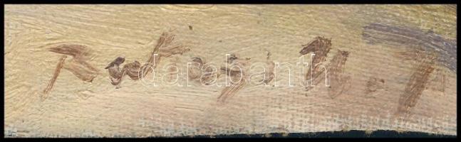 Rákosi Uitz János (1887-?): Vízparti táj. Olaj, vászon, jelzett, vakráma nélkül, 25×34 cm