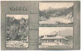 1927 Kolibica, Colibita; Valea repede, Casa de recreatie / Kurhaus / völgy, gyógyház / valley, spa (EK)