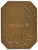 Franciaország ~1900. "A festő" bronz emlékplakett. Szign.: A. L. M. C. (Alexandre Charpent...