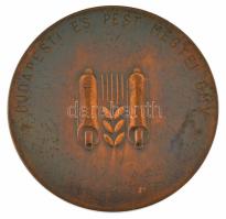 DN "Pekár Imre 1838-1923" kétoldalas bronz emlékérem, hátoldalán "Budapesti és Pest m...