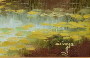 Czinege Zsolt (1964-): Csónak. Olaj, vászon, jelzett. Dekoratív fakeretben. 31x41 cm