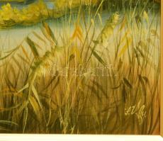 Pethőné Varga Györgyi (1942-): Reppenés (vadkacsák). Olaj, farost, jelzett, hátoldalán címkén felira...