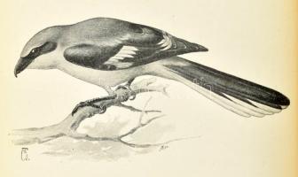 Herman Ottó: A madarak hasznáról és káráról. Darányi Ignácz m. kir. földmívelésügyi minister megbízá...