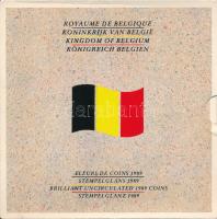 Belgium 1989. 50c-50Fr (10xklf) forgalmi sor karton dísztokban, minden névértékből francia és holland feliratú érme, a belső tokon a ragasztás elengedett T:BU Belgium 1989. 50 Centimes - 50 Francs (10xdiff) coin set in case, French and Dutch legend coins, the gluing on the inner case has loosened C:BU