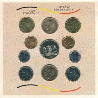 Belgium 1989. 50c-50Fr (10xklf) forgalmi sor karton dísztokban, minden névértékből francia és hollan...