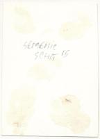 Ferencfalva, Franzdorf, Valiug (Resicabánya, Resita); remetelak a Szemeniken / Schitul Semenic / her...