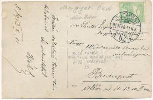 1913 Magyarózd, Thürendorf, Ozd; tehén, erdélyi folklór / cow, Transylvanian folklore. photo (fl)