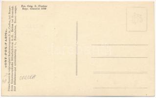 Feketehalom, Zeiden, Codlea; Ost-Fox-Farm, Erste Südosteuropäisches Silberfuchsfarm A.-G. / Prima Fe...