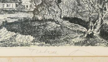 Tuka László (1924-2007): Balaton. Rézkarc, papír, jelzett, számozott (74/100). Üvegezett fakeretben....