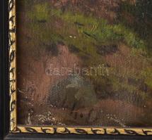 Mendlik Oszkár (1871-1963): Hegyvidéki vízesés. Olaj, vászon, kartonon. Kissé sérült (korábban felte...