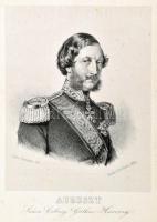 Hunfalvy János: Gömör és Kishont törvényesen egyesült vármegyének leírása. A Magyar Orvosok és Termé...