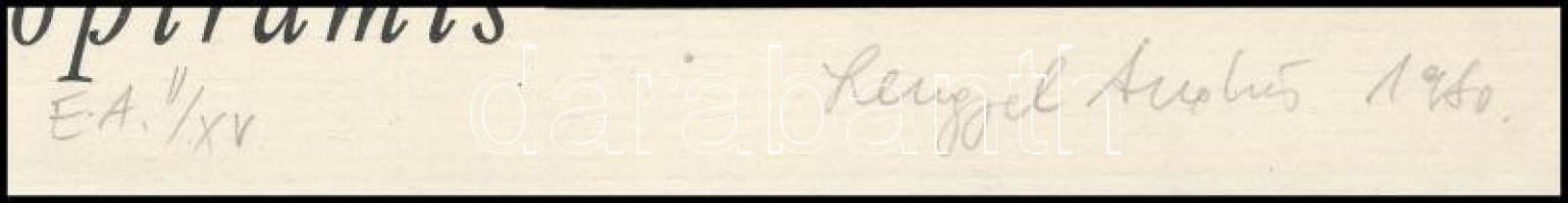 Lengyel András (1952-): Felhőpiramis, "a láthatatlan tükrözi a láthatót" ("Album lapo...