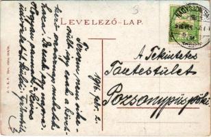 1916 Nagyszombat, Tyrnau, Trnava; látkép / general view (EK)