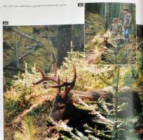 Rakk Tamás: Tűzözön és hóvihar. Veszprém, 1996, Skicc Reklámstúdió - Diana Bibliofil Kft. Színes fot...