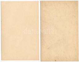 2 db RÉGI francia meztelen erotikus hölgyet ábrázoló lap / 2 pre-1945 French erotic nude non-postcar...