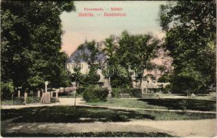 Beszterce, Bistritz, Bistrita; Promenade / Sétatér. C. W. Schell kiadása / promenade (EK)