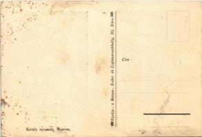 Sopron, Machatsek Gyula és Szechányi Elemér volt főiskolás bajtársunk, aki Sopronért és Nyugat-Magya...