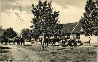 1938 Temesvár, Timisoara; Wirtschaftshof der Hauswirtschaftsschule d. A. Schulschwestern v. U.L. Fr. II., Marienheim / Iskolanővérek intézete, háztartási iskola udvara / school yard