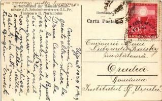 1938 Temesvár, Timisoara; Wirtschaftshof der Hauswirtschaftsschule d. A. Schulschwestern v. U.L. Fr....