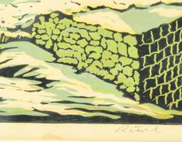 Réti Mátyás (1922-2002): Eger télen. Színes linómetszet, papír, jelzett, foltos, üvegezett fakeretbe...