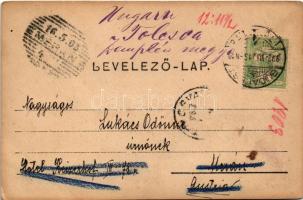 1903 Budapest XIV. Városliget, Park Club. photo (fa)