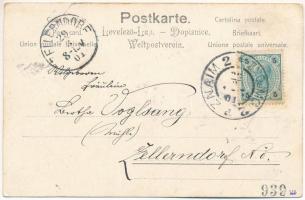 1901 Greeting card with bird, mushroom and flowers. litho (EK)